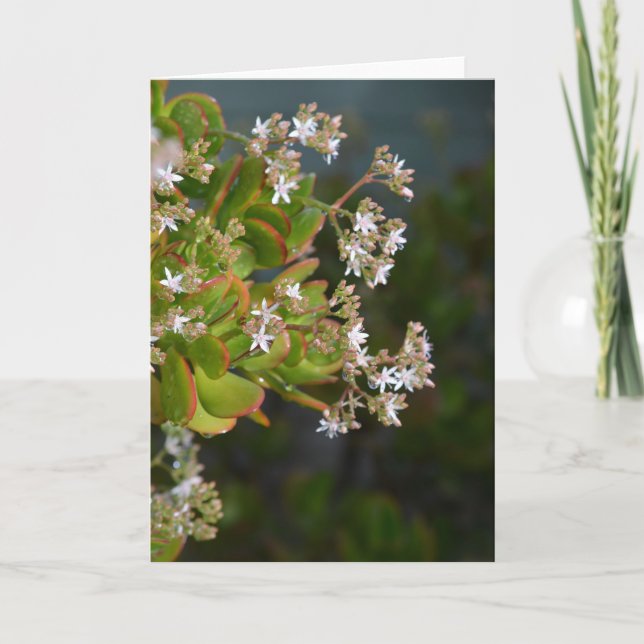 Jade flowers photo card (Front)