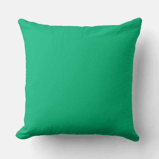 Jade Green Cushion (Front)