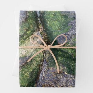 Jade Green Mossy Beach Rocks Toowoon Bay Wrapping Paper Sheet