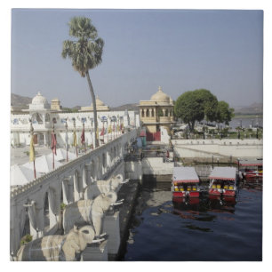 Jag Mindar Palace, Lake Pichola, Udaipur, India. Tile