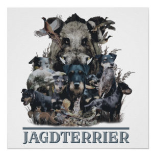 Jagdterrier, German Hunting Terrier Poster