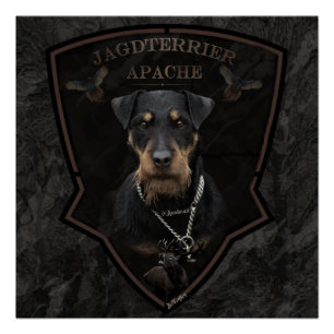 Jagdterrier, German Hunting Terrier Poster