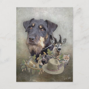Jagdterrier  postcard
