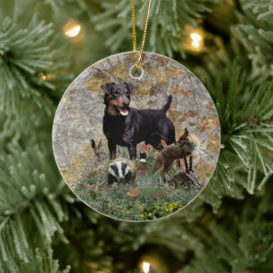 Jagdterrier Tapestry Ceramic Tree Decoration