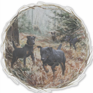 Jagdterriers, all-round hunting dogs.