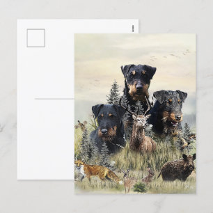 Jagdterriers v. Renbrad Kennel  Holiday Postcard