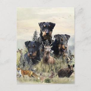 Jagdterriers v. Renbrad Kennel  Postcard