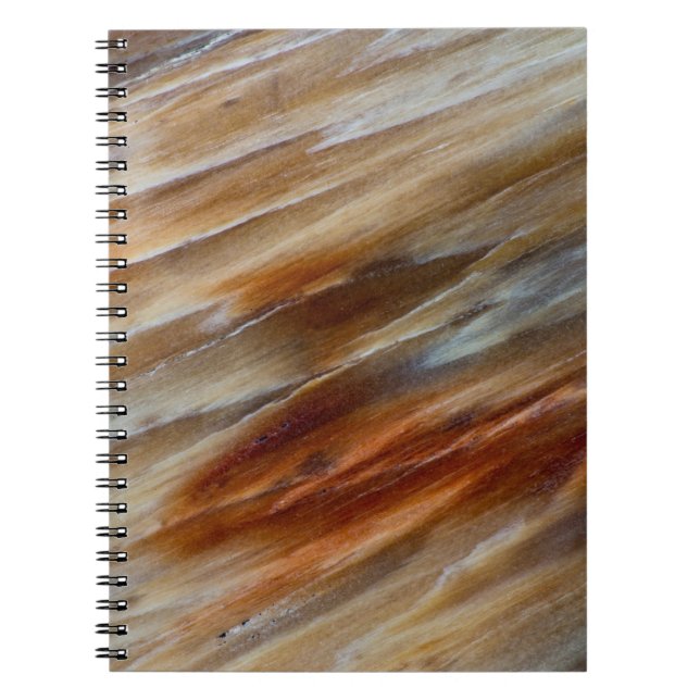 Jagged Petrified Wood Notebook (Front)