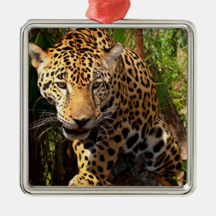 Jaguar Adolescent Metal Tree Decoration
