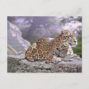 Jaguar and Mayan Temple Postcard