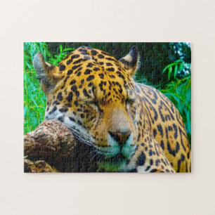 Jaguar Big Cats . Jigsaw Puzzle