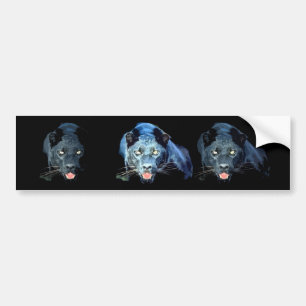 Jaguar - Black Panther Bumper Sticker