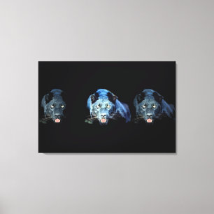 Jaguar - Black Panther Cat Wrapped Canvas