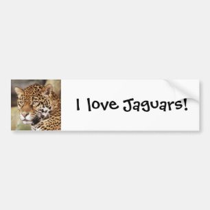 Jaguar Bumper Sticker