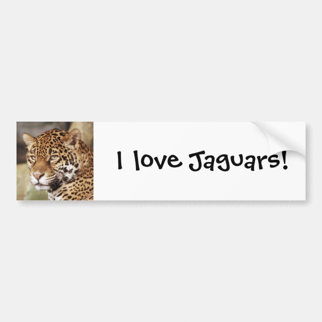 Jaguar Bumper Sticker (Front)