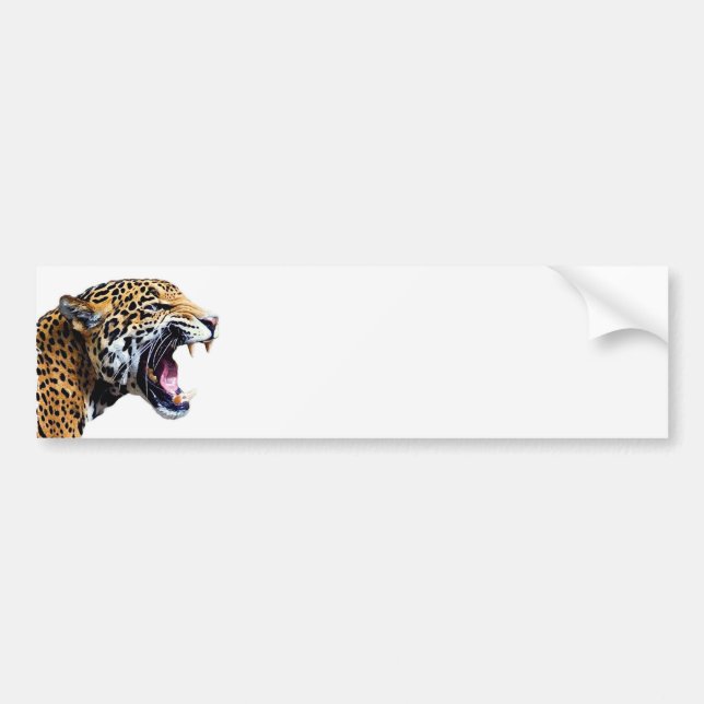 jaguar bumper sticker (Front)