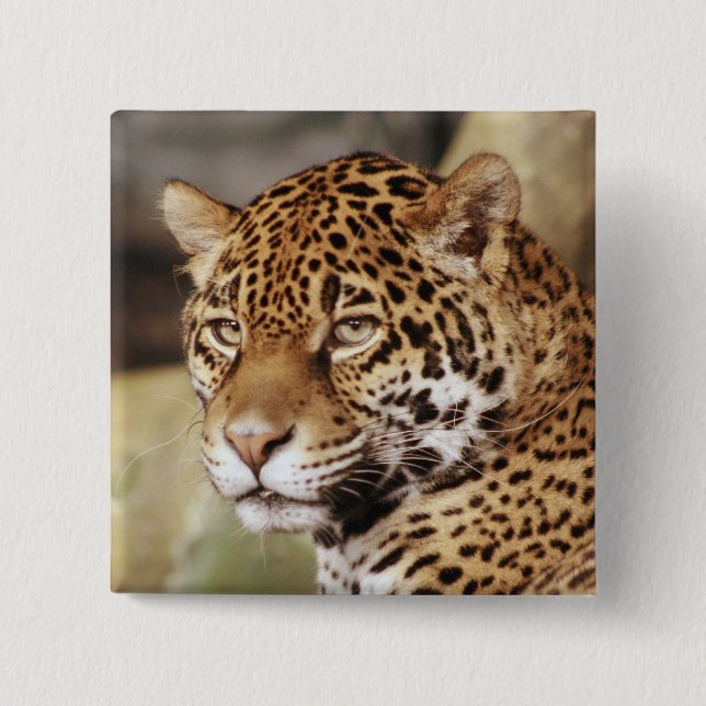 Jaguar Button (Front)