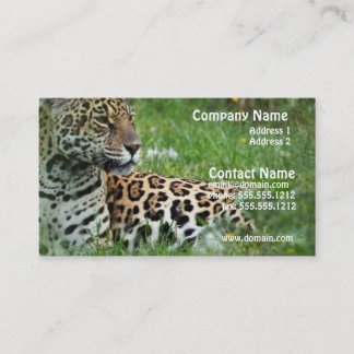 Jaguar Cat Business Card