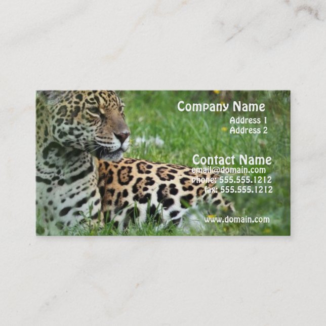 Jaguar Cat Business Card (Front)
