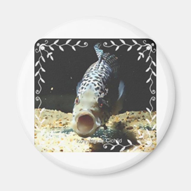 Jaguar Cichlid Magnet (Front)