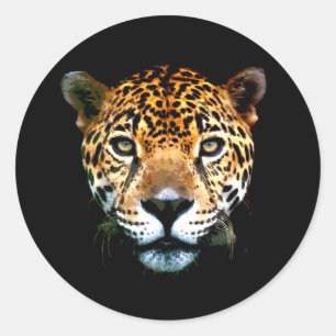 Jaguar Classic Round Sticker