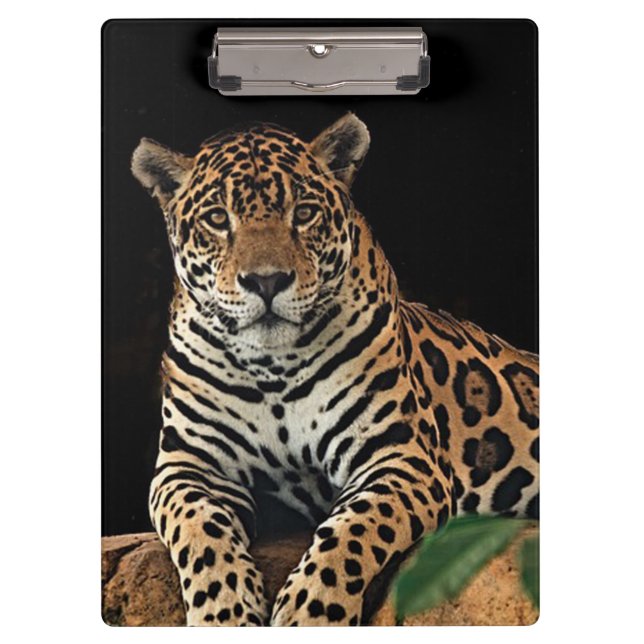 Jaguar Clipboard (Front)