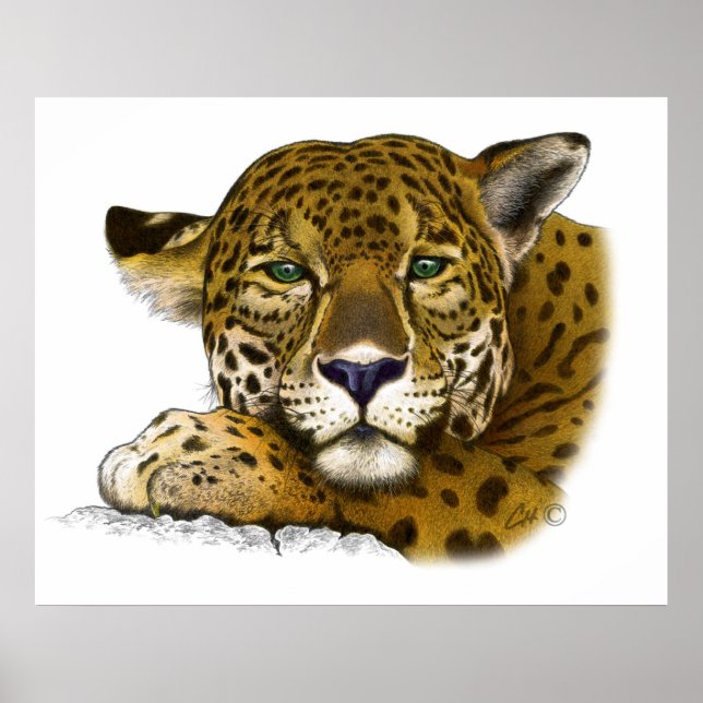 Jaguar coloured poster (Front)