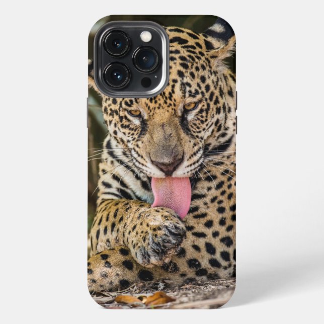 Jaguar Cub Case-Mate iPhone case (Back)