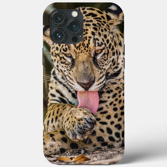Jaguar Cub Case-Mate iPhone case (Back)
