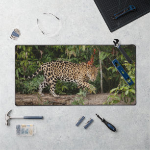 Jaguar  desk mat