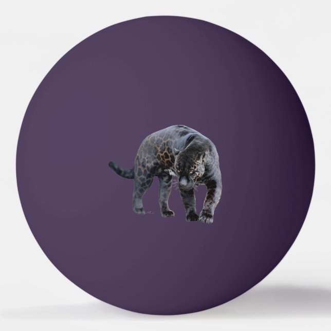 Jaguar Diablo 1 star purple ping pong ball (Front)
