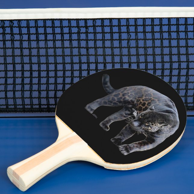 Jaguar Diablo black ping pong paddle (Insitu)
