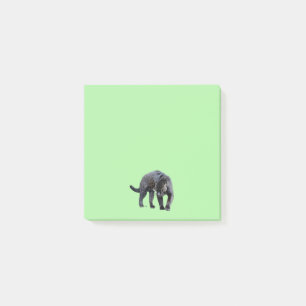 Jaguar Diablo green note pads