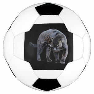 Jaguar Diablo soccer ball
