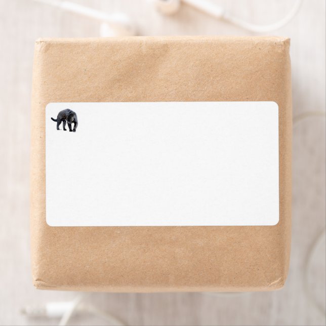 Jaguar Diablo white shipping labels (Insitu)
