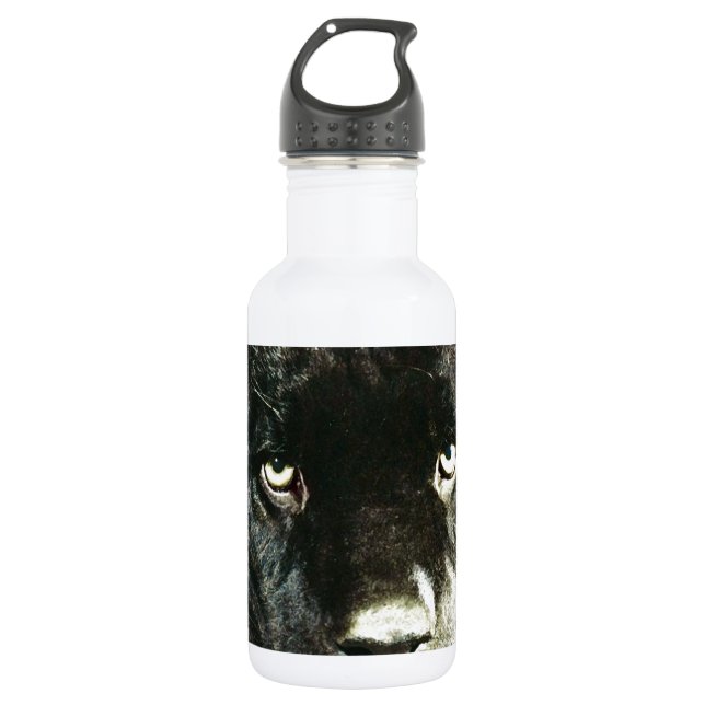 Jaguar Eyes 532 Ml Water Bottle (Front)