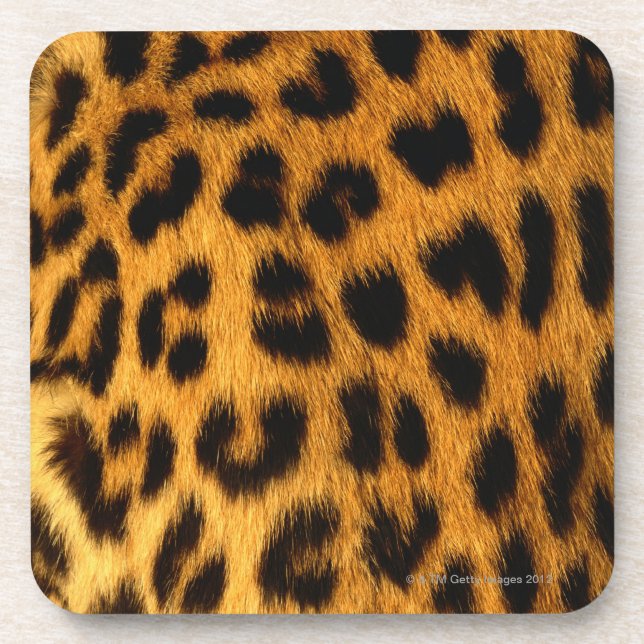 Jaguar Fur Coaster (Front)