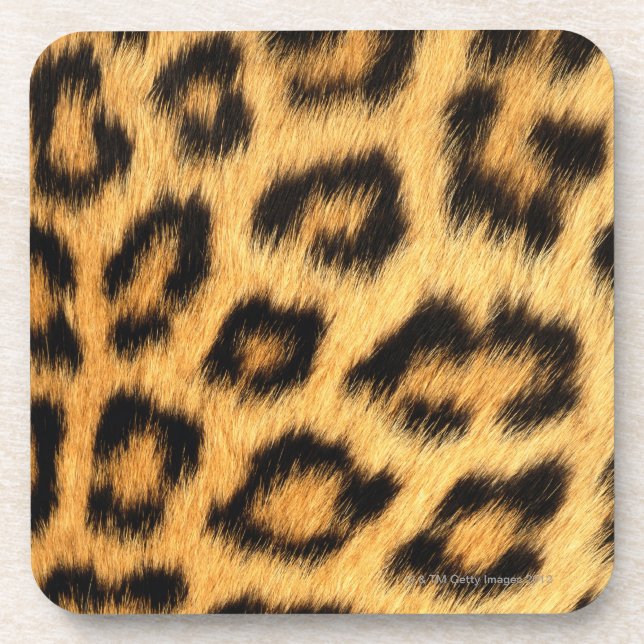 Jaguar Fur Coaster (Front)