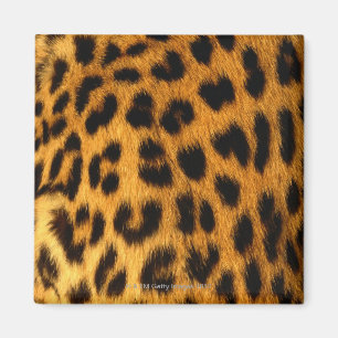 Jaguar Fur Magnet