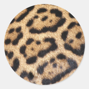 Jaguar Fur Photo Print Classic Round Sticker