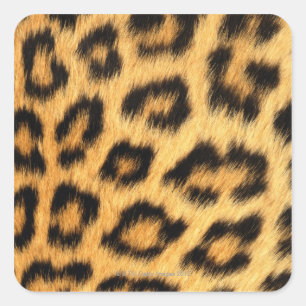 Jaguar Fur Square Sticker