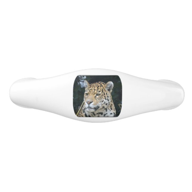 Jaguar Glare Ceramic Drawer Pull (Front)
