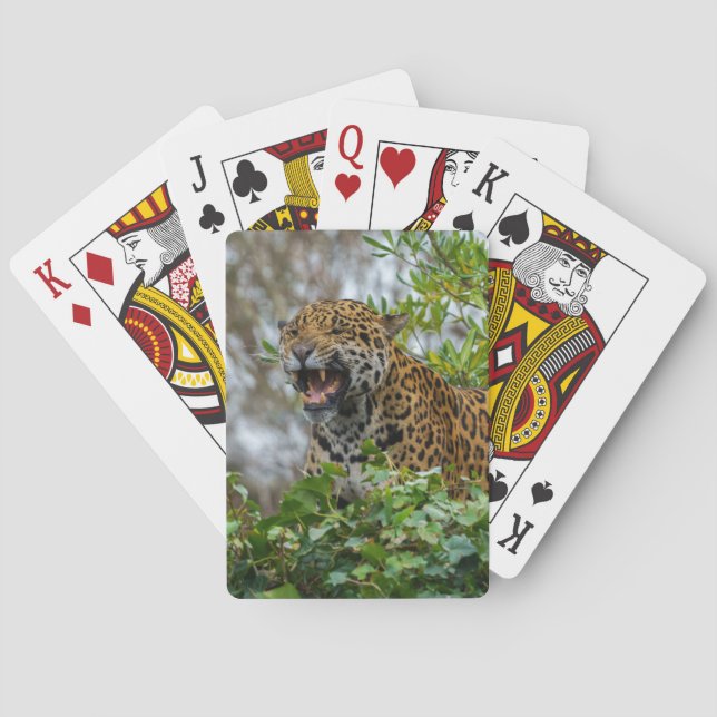 Jaguar Growl Playing Cards (Back)
