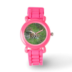 Jaguar Habitat Watch