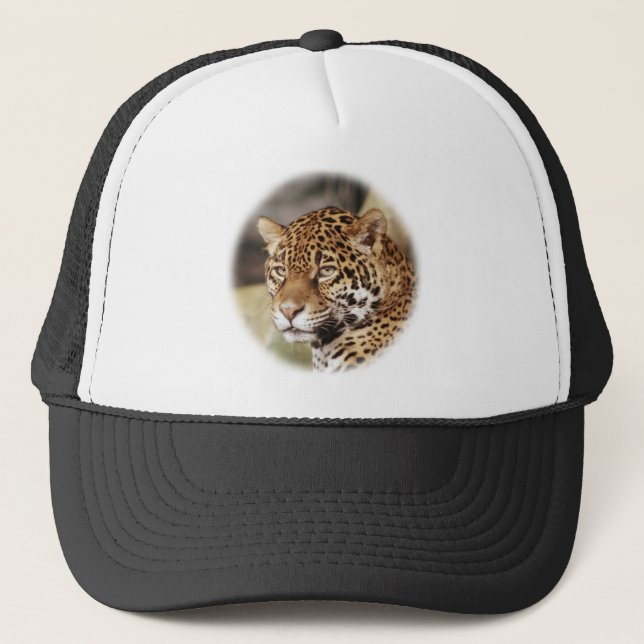 Jaguar Hat (Front)