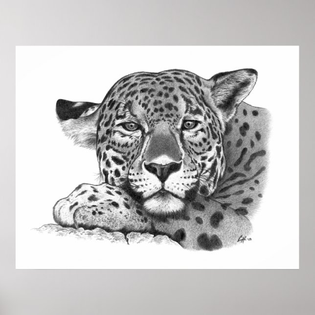 Jaguar in Pencil Poster (Front)