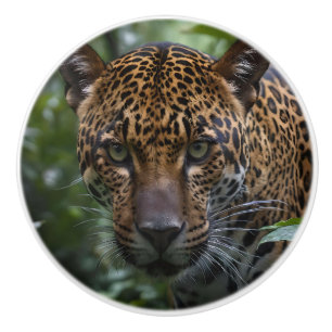 Jaguar In The Forest, Ceramic Knob