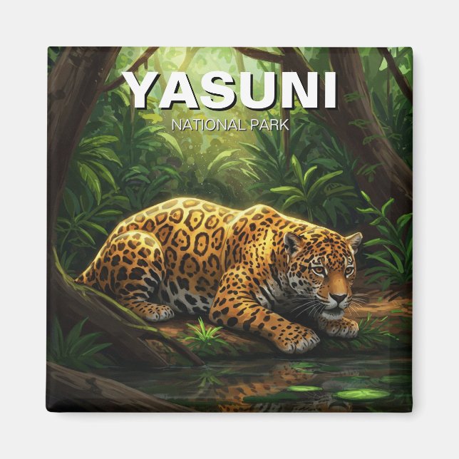 Jaguar in Yasuni National Park Ecuador Magnet (Front)