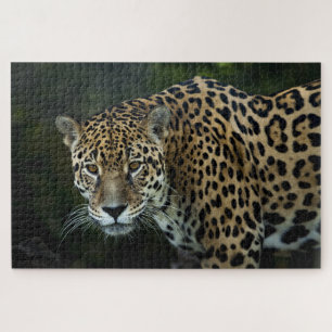 Jaguar Jigsaw Puzzle