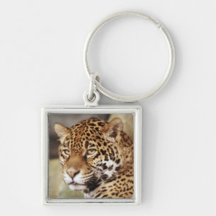 Jaguar Keychain